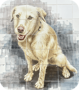 Abrigo do Simba Logo