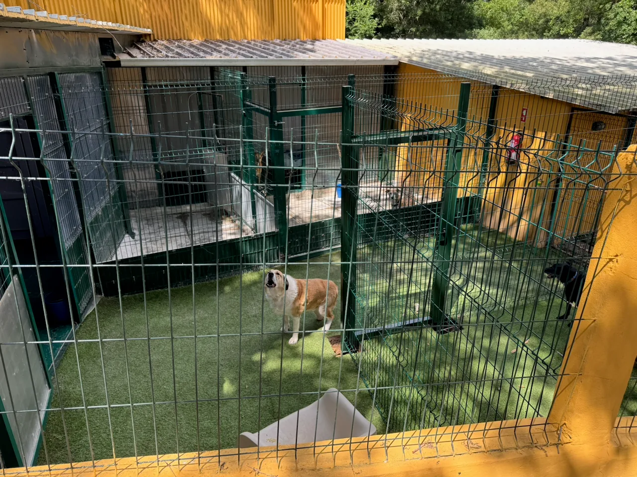 Zona de brincadeira do Abrigo do Simba